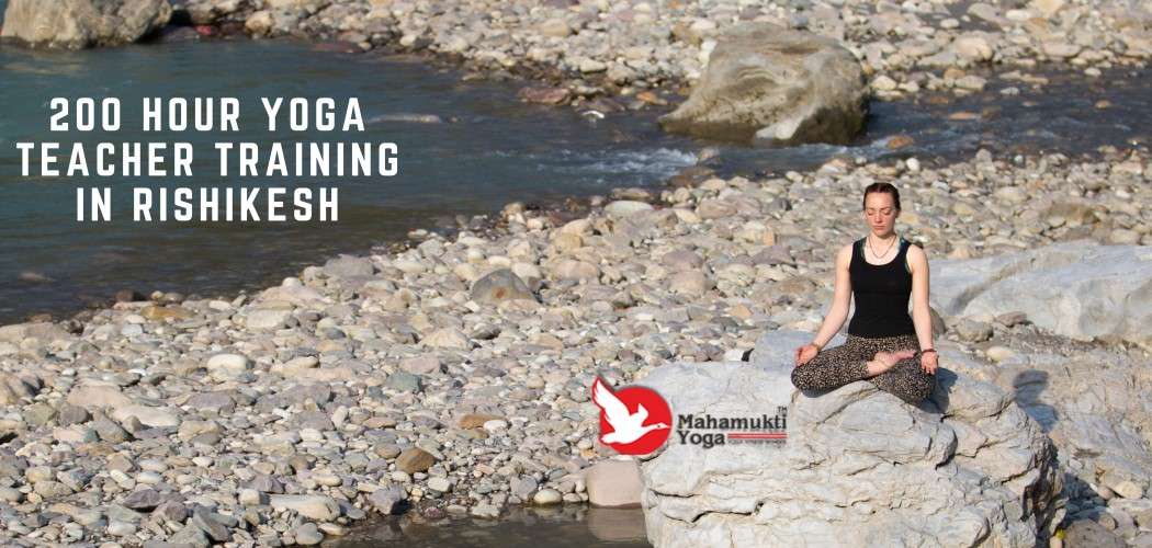 You are currently viewing 200 Hour Yoga Teacher Training Course In Rishikesh