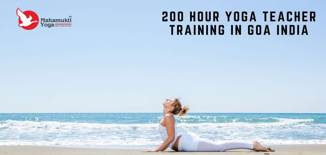 You are currently viewing Best 200 Hour Yoga Teacher Training Course In Goa