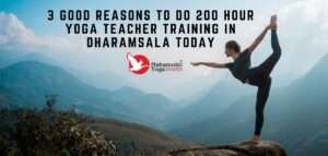 Read more about the article Reasons To Do 200 Hour Yoga Teacher Training Course In Dharamsala