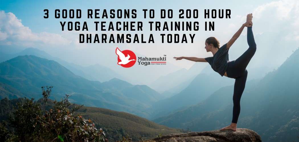 You are currently viewing Reasons To Do 200 Hour Yoga Teacher Training Course In Dharamsala