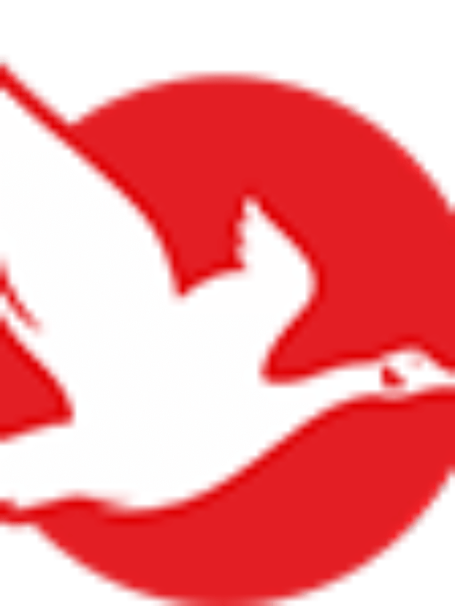 Best Yoga Teacher Training Programs