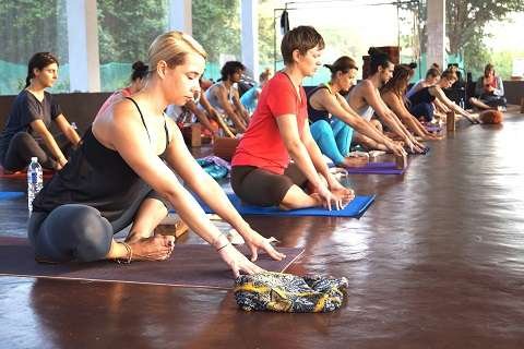 You are currently viewing Best Iyengar Therapy course Goa India