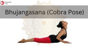 Read more about the article The Incredible Benefits of Practicing Bhujangasana (Cobra Stretch)