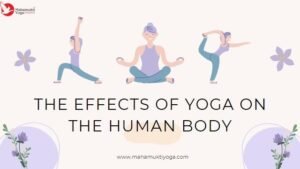Read more about the article The Effects of Yoga on The Human Body