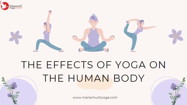 You are currently viewing The Effects of Yoga on The Human Body