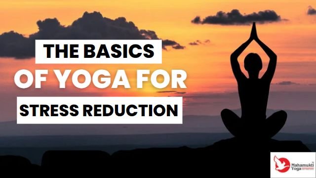 You are currently viewing The Basics of Yoga for Stress Reduction: What You Need to Know