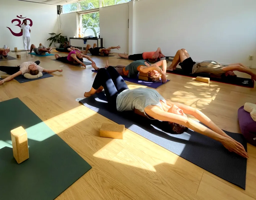 300 Hour Yoga Teacher Training Course In Goa
