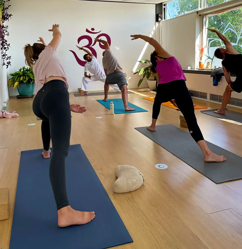 Ashtanga Yoga Teacher Training In Goa