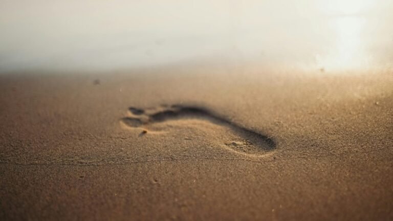 7 days Yoga retreat in goa