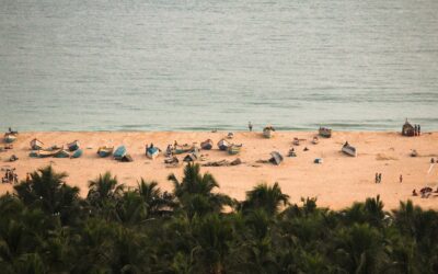 Top 10 Beachfront Yoga Retreats to Visit in Goa This Season