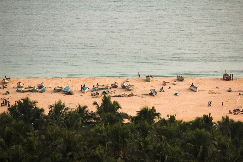 Top 10 Beachfront Yoga Retreats to Visit in Goa This Season